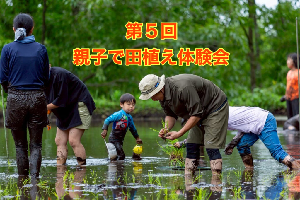 第5回 親子で田植え体験会やります！