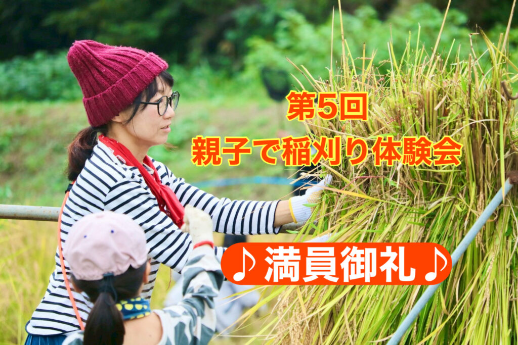満員御礼！第5回親子で稲刈り体験会